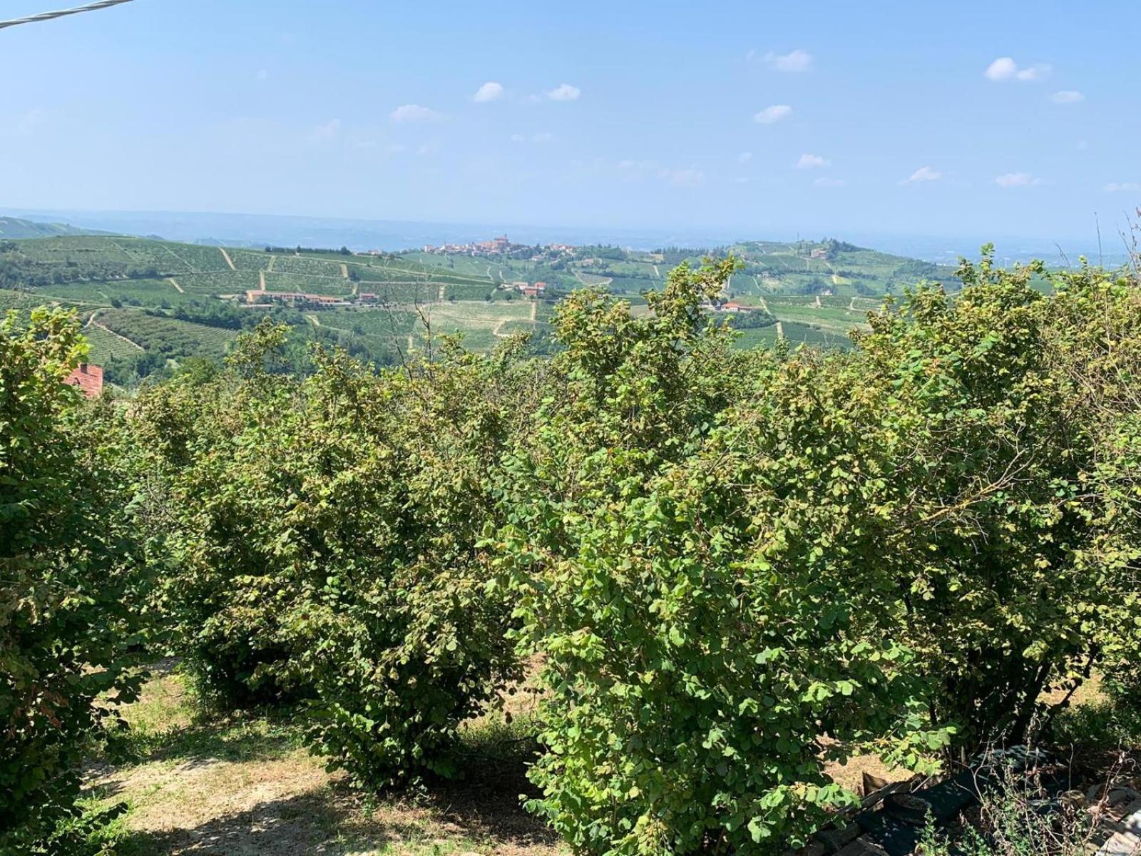Agriturismo Cascina Anrì Mango Esterno foto