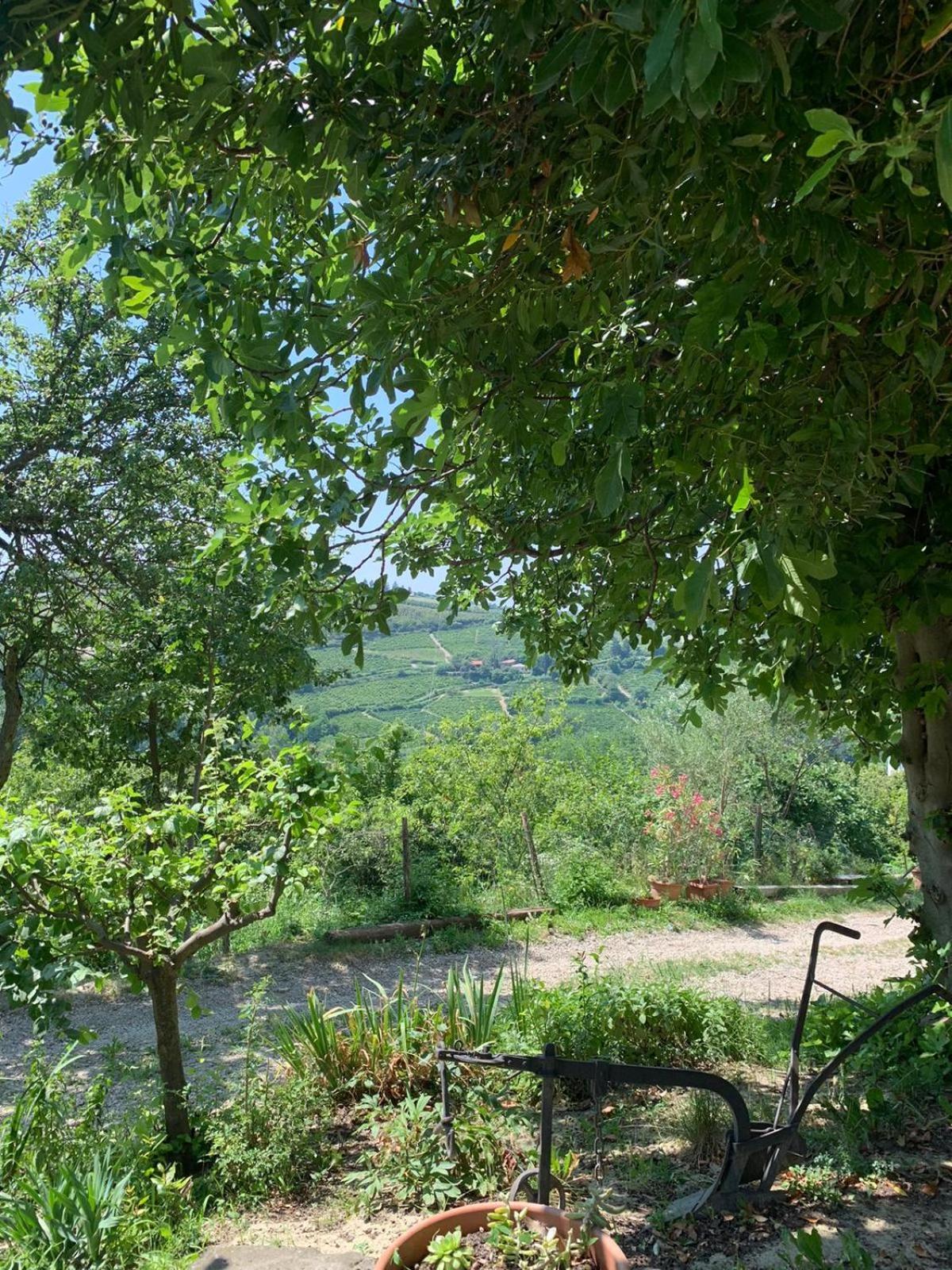 Agriturismo Cascina Anrì Mango Esterno foto