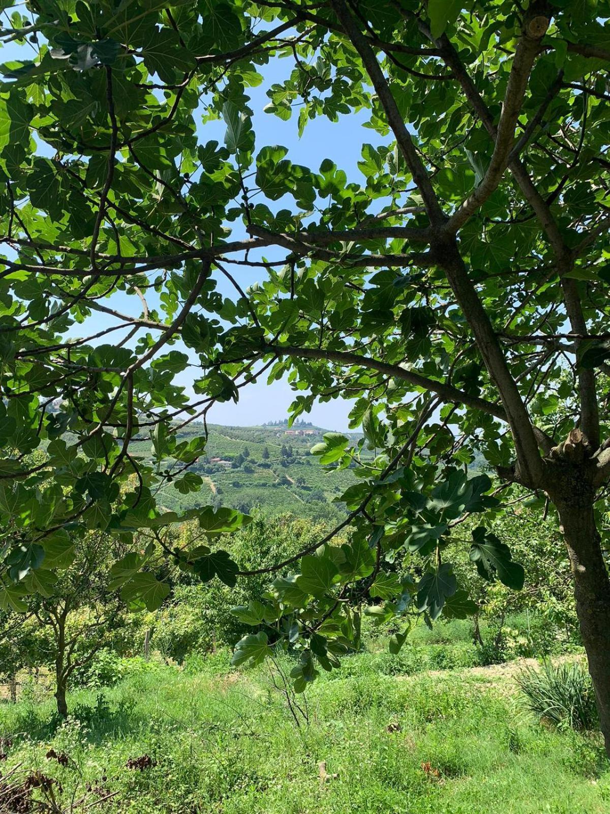 Agriturismo Cascina Anrì Mango Esterno foto