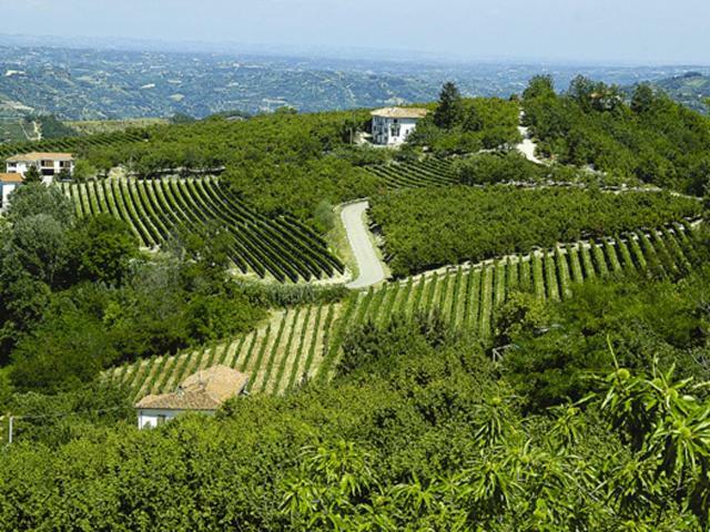 Agriturismo Cascina Anrì Mango Esterno foto
